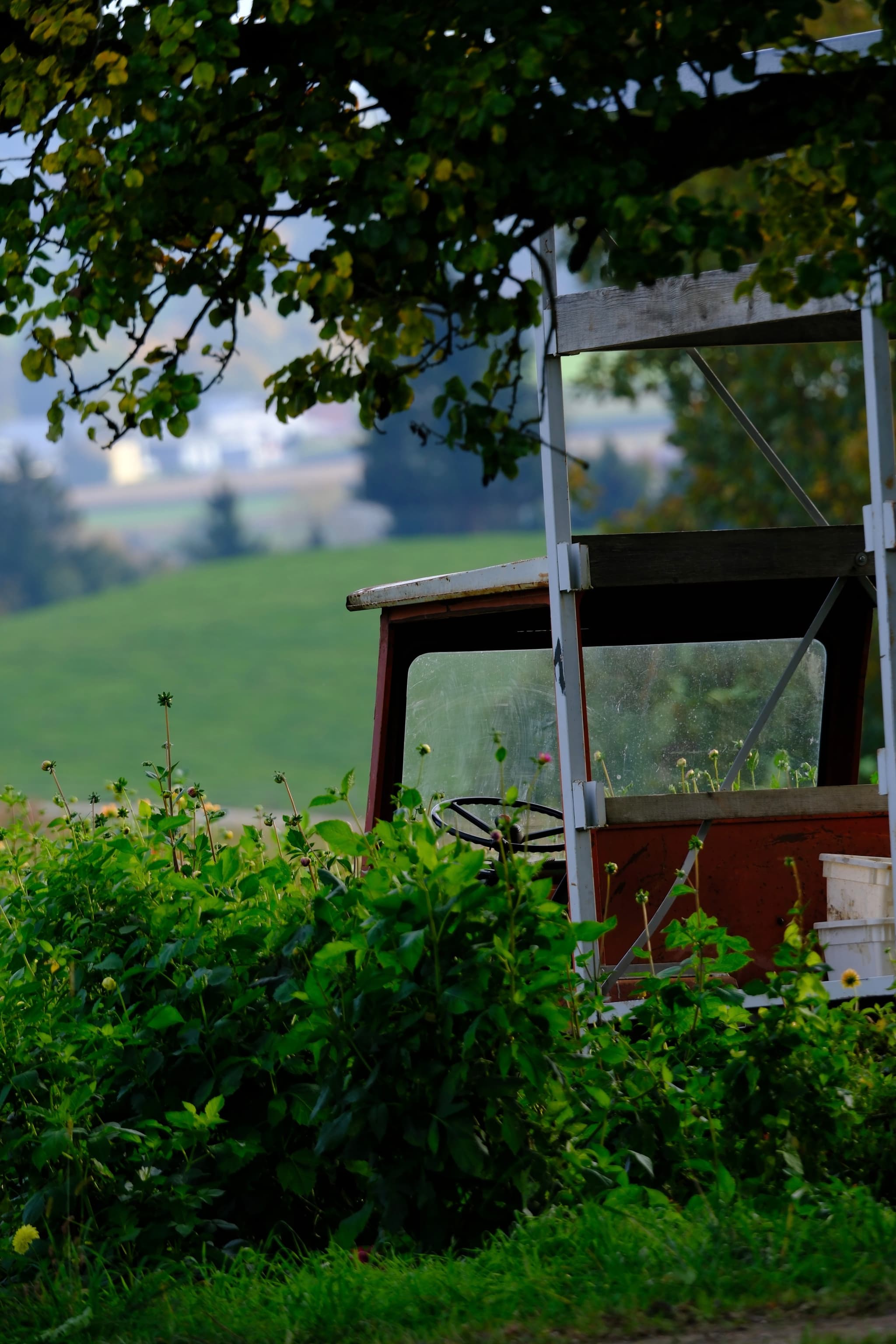 An overgrown vintage truck sits abandoned in the countryside, surrounded by lush greenery and trees