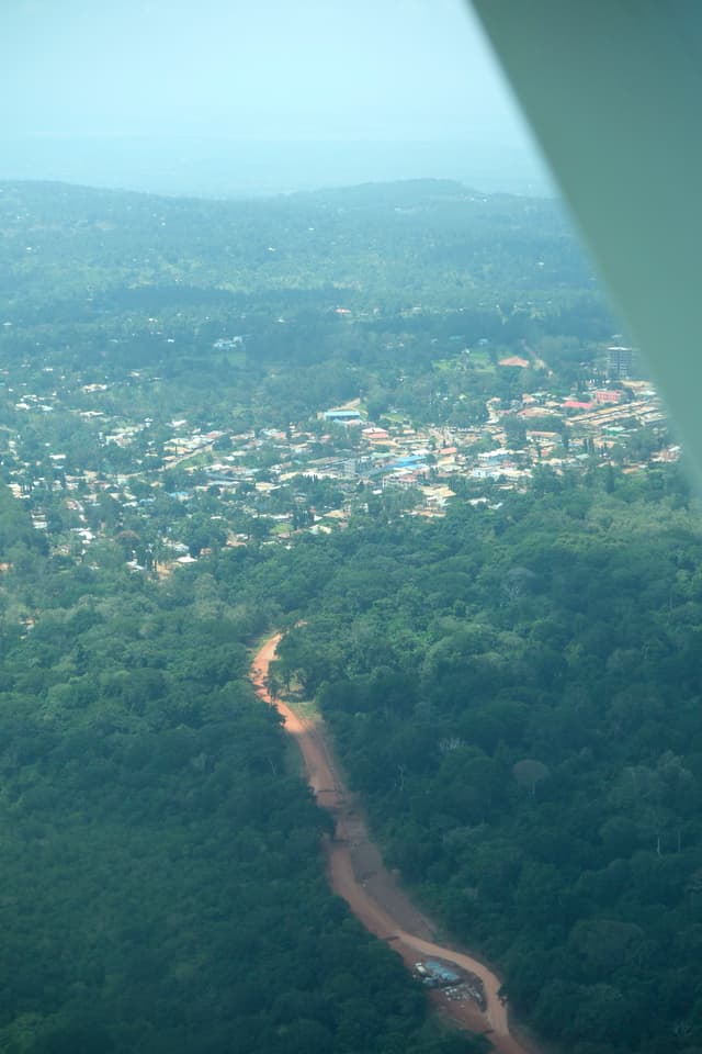 An aerial view of a landscape with a winding dirt road cutting through dense green forest, leading to a small town in the distance
