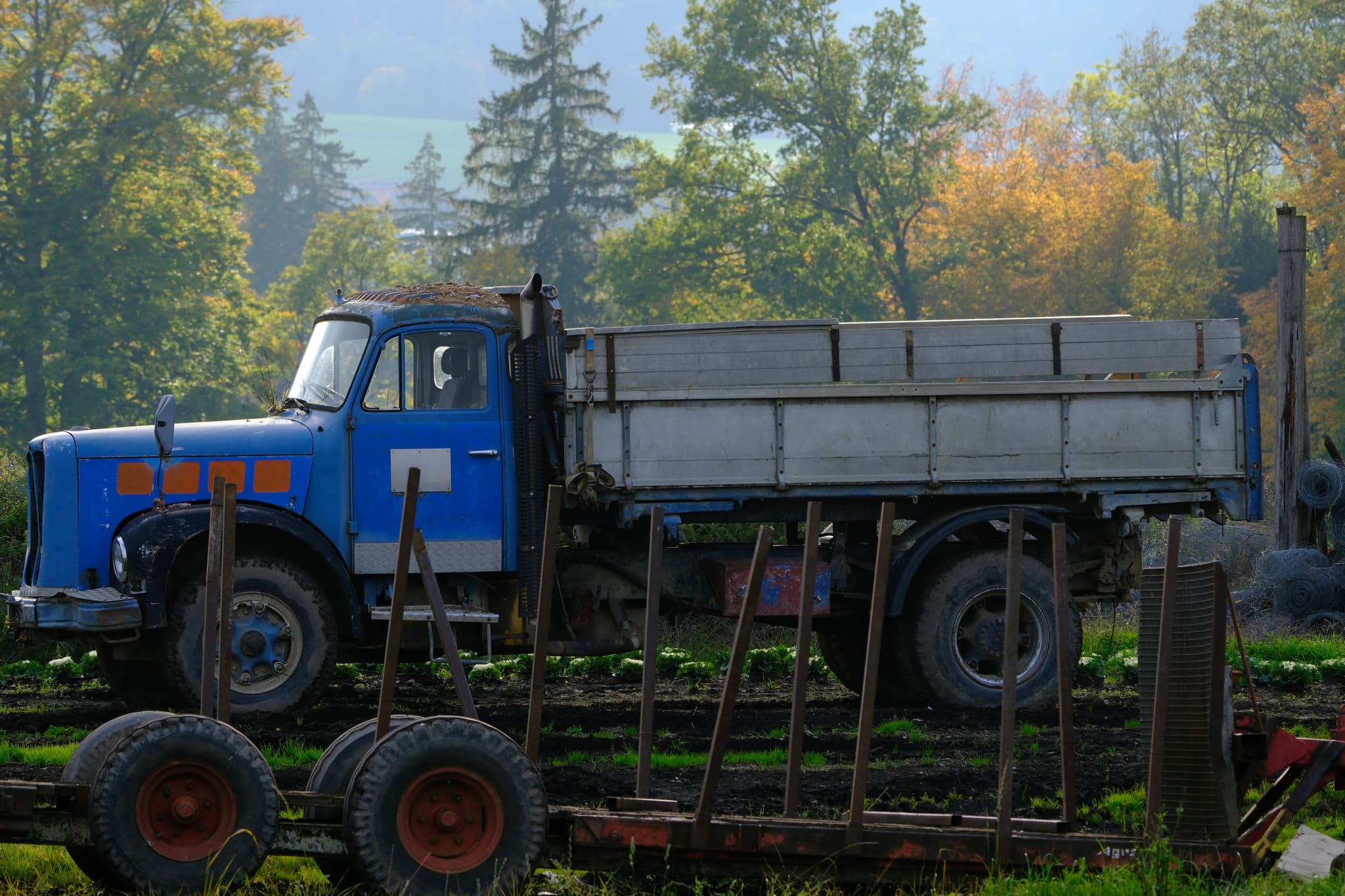 A vintage blue truck parked in a rural area surrounded by trees and foliage, with rustic equipment nearby