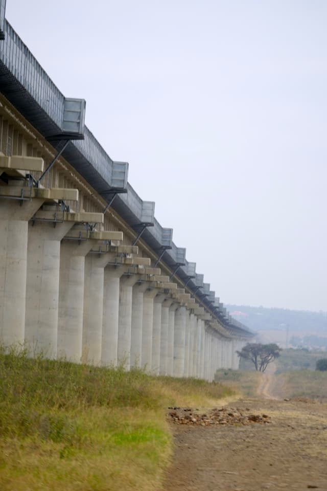 A long elevated railway bridge supported by numerous concrete pillars, extending into the distance over a grassy landscape with a dirt path and a tree visible in the background
