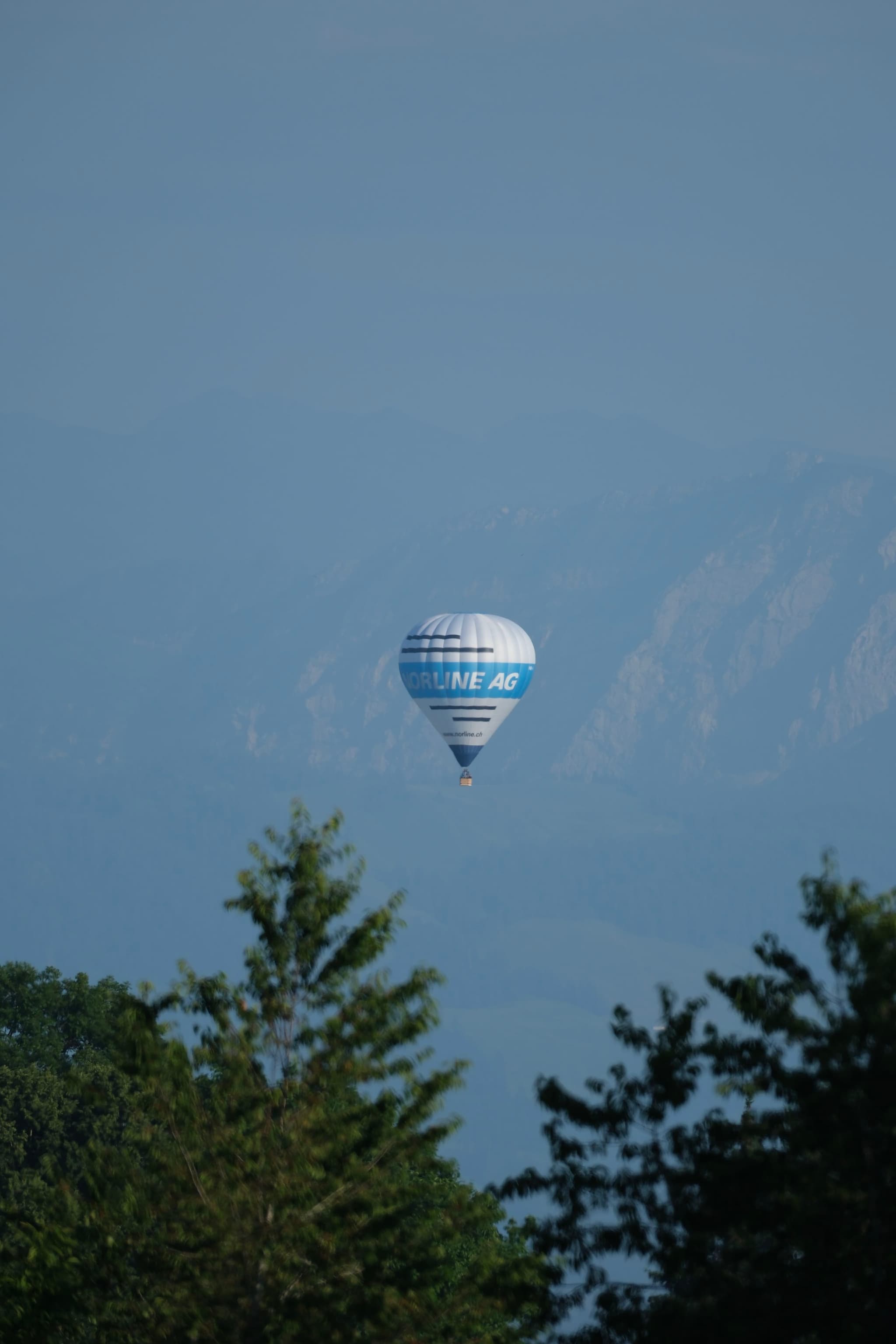 A hot air balloon floats in the sky with mountains in the background and trees in the foreground