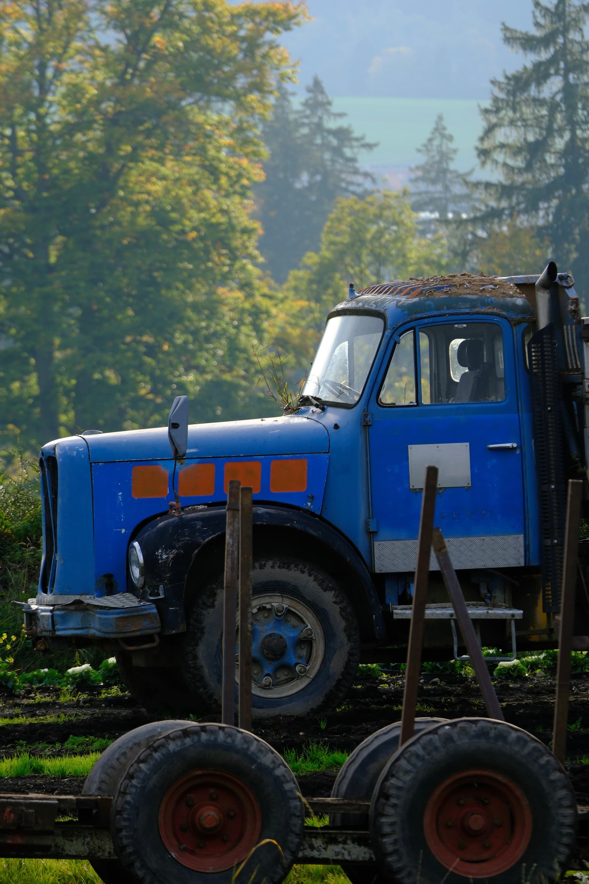 A vintage blue truck parked in a lush green area with trees and hills in the background