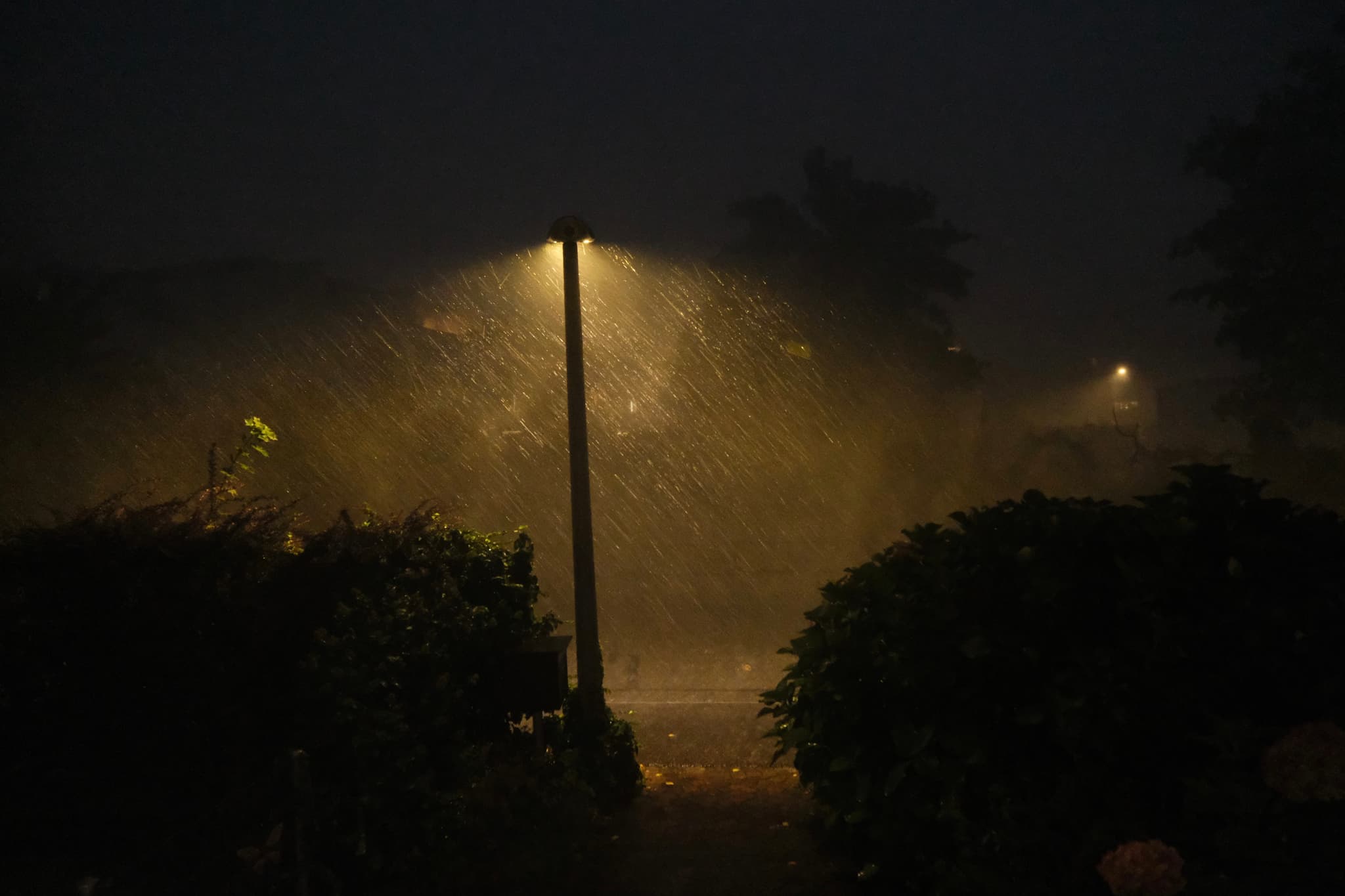 A streetlamp illuminates a misty street at night, casting a warm glow through the darkness and rain