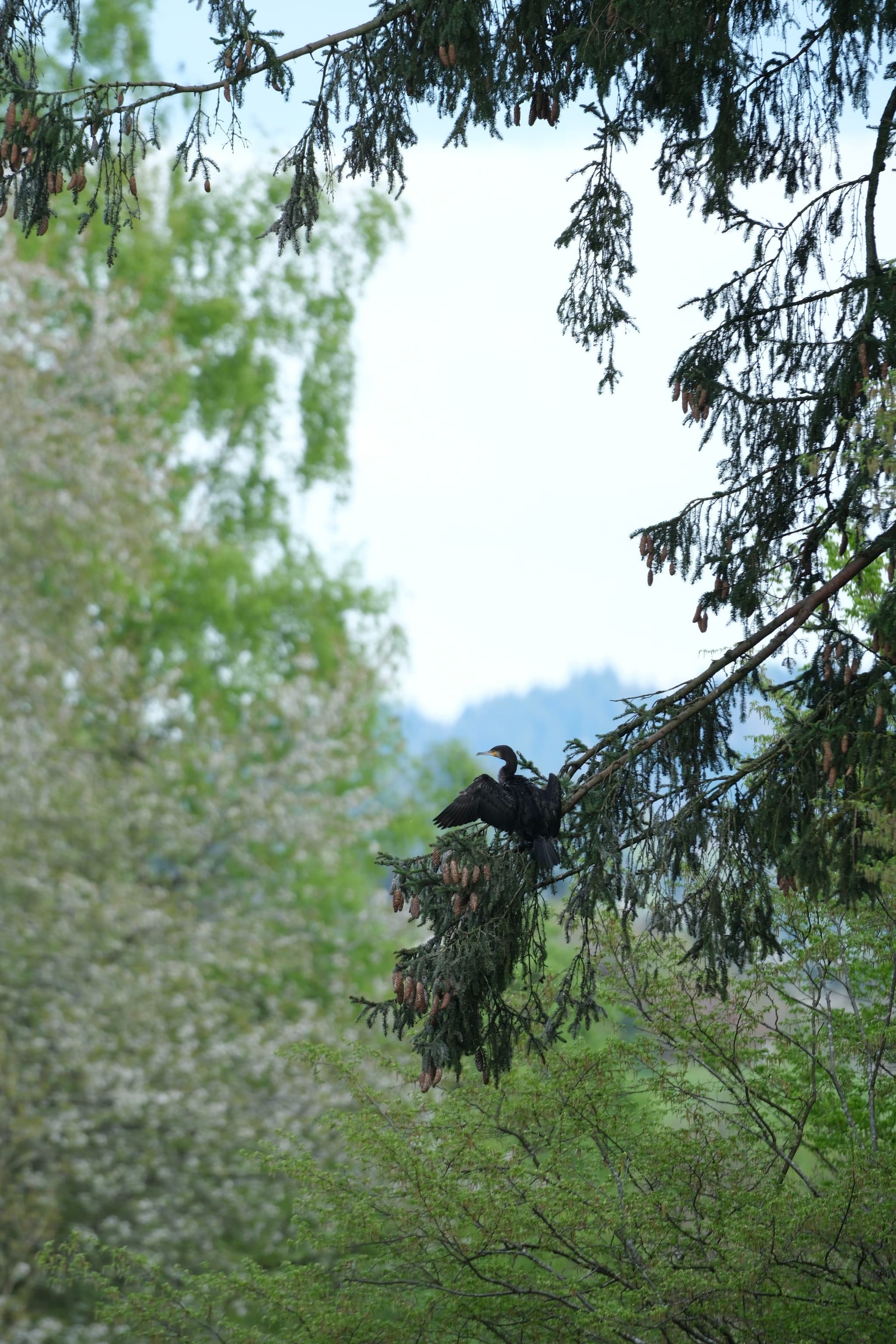 A bird perched on a tree branch surrounded by lush greenery and blurred foliage in the foreground