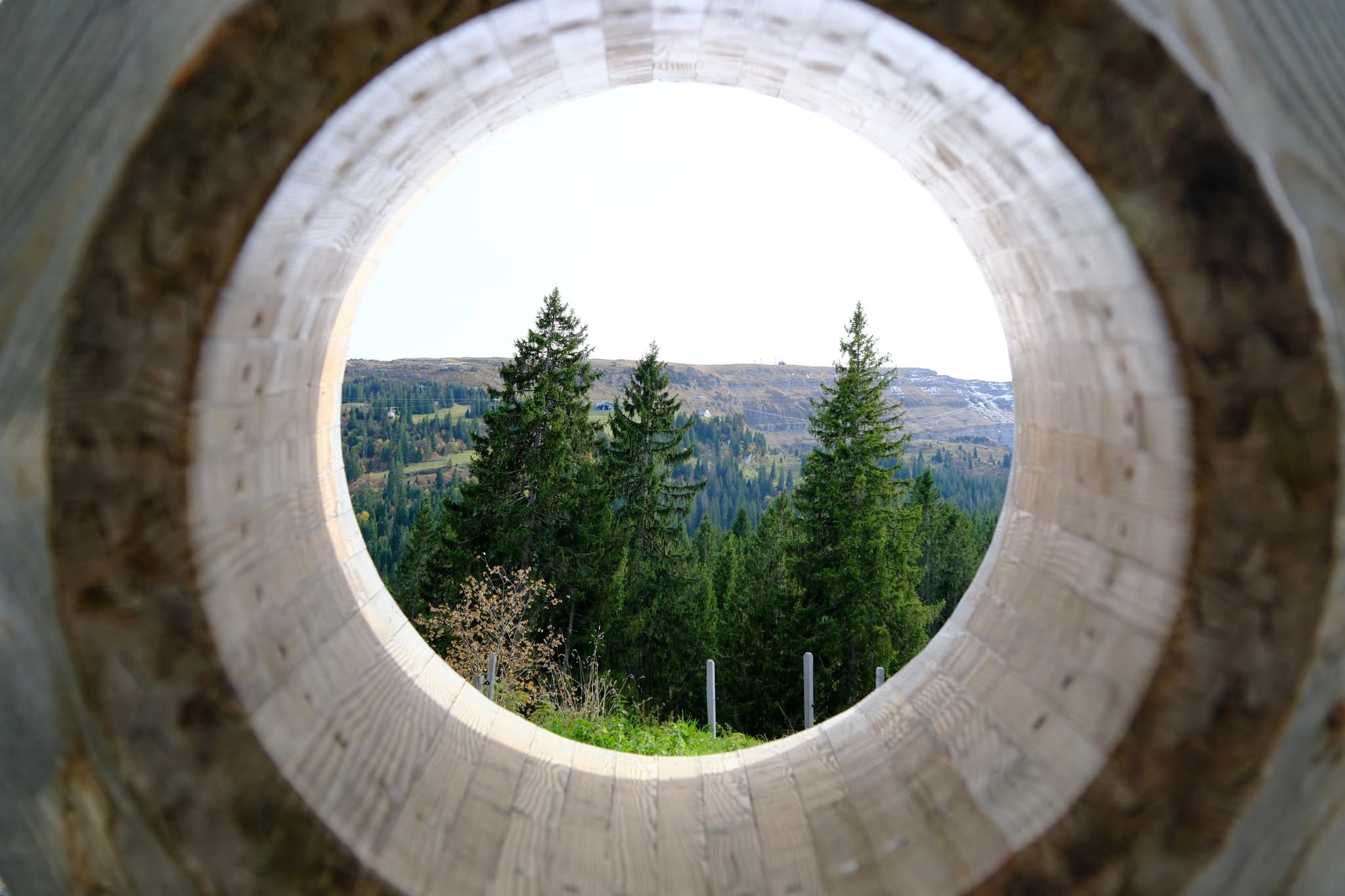 Forest landscape viewed through a circular wooden tunnel opening