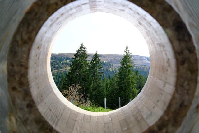 Forest landscape viewed through a circular wooden tunnel opening
