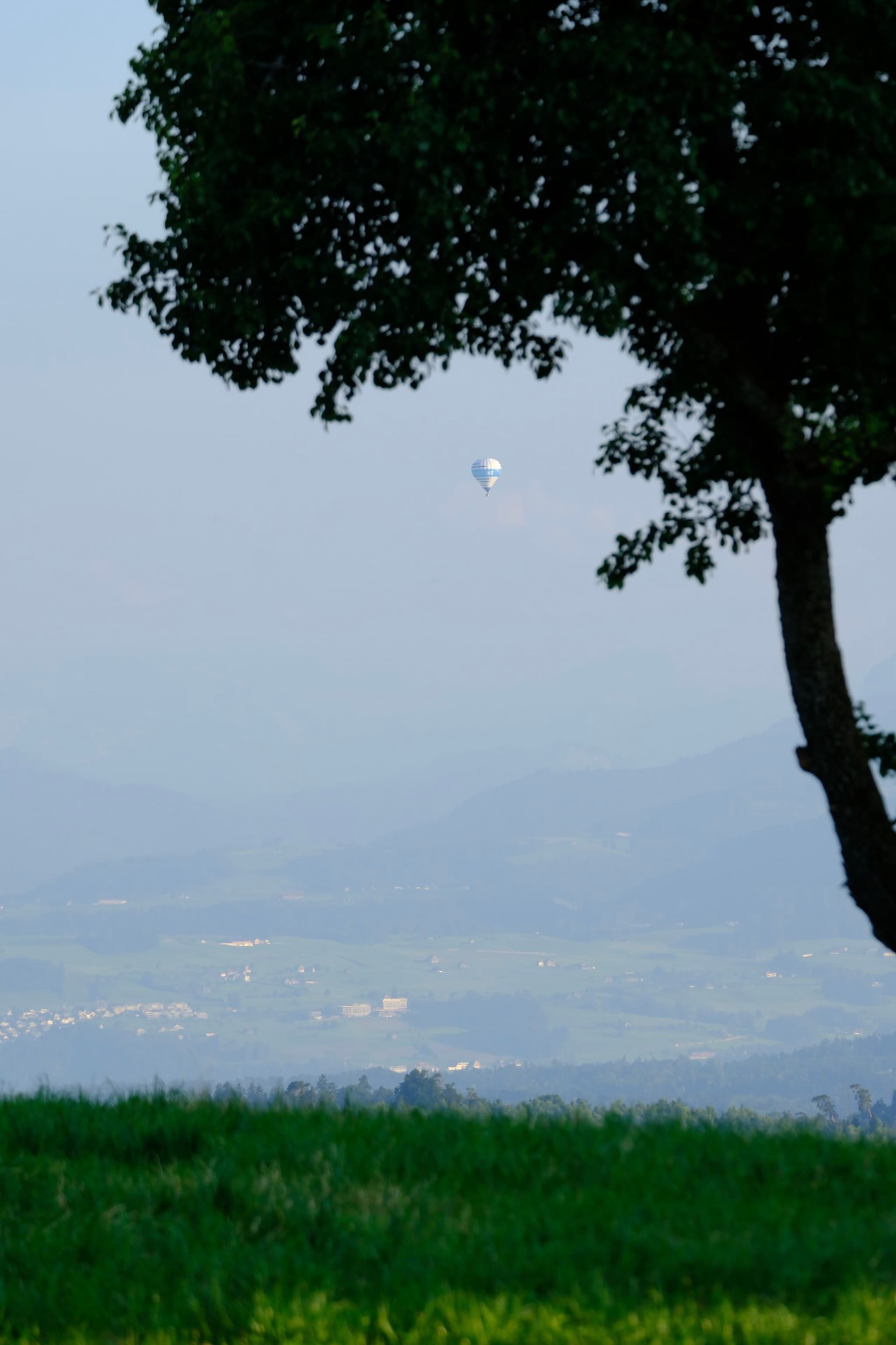 A hot air balloon in the distance, partially obscured by a tree, with a grassy foreground and hazy mountains in the background