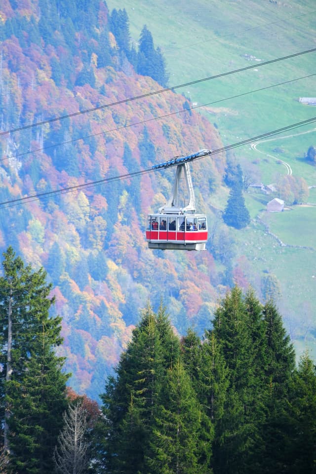 A cable car travels above colorful autumn trees with a forested mountain backdrop