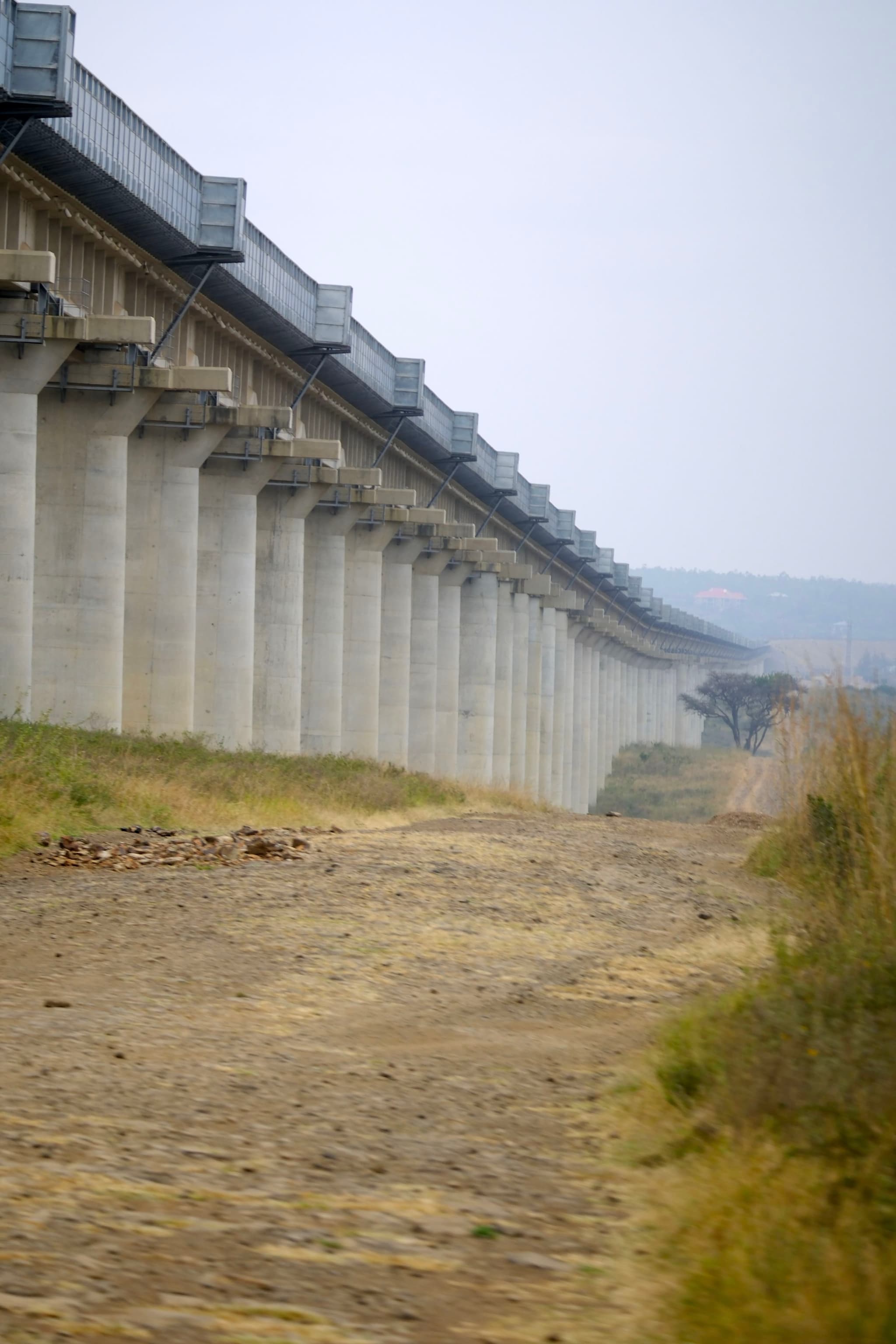 A long elevated railway bridge supported by numerous concrete pillars, with a dirt path running alongside it and grassy vegetation on the right