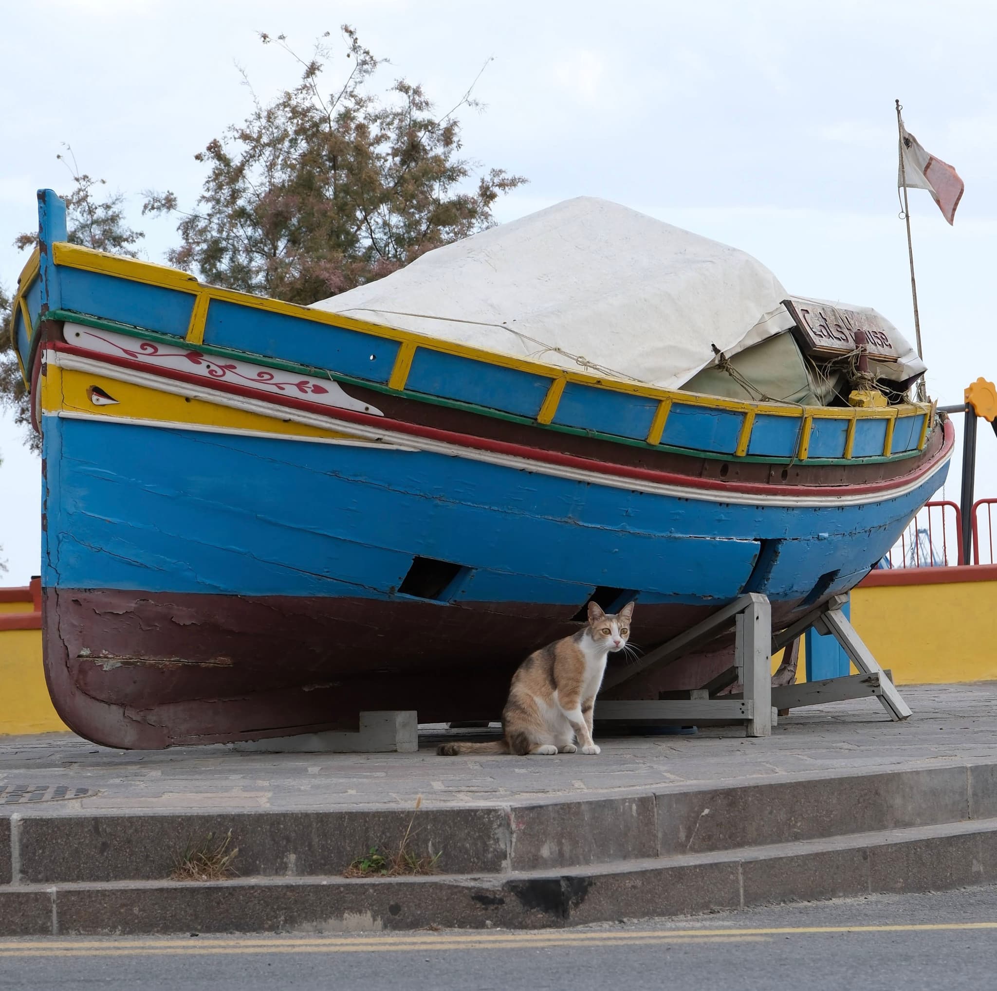A blue and yellow boat is propped up on a platform with a dog sitting underneath it