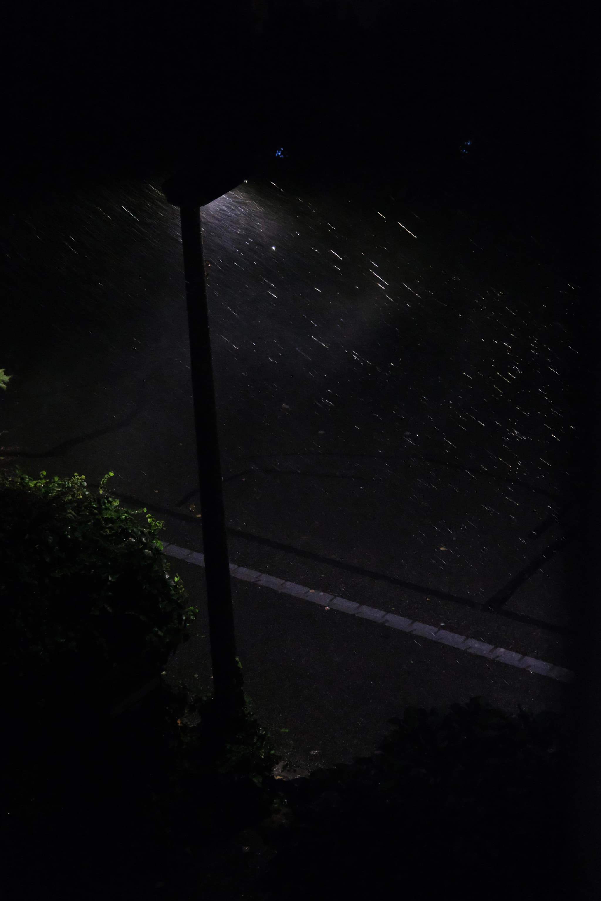 A streetlight illuminates raindrops at night, creating a serene atmosphere
